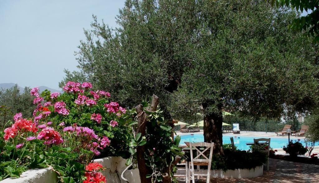Katerina Charming Place Amoudara  外观 照片