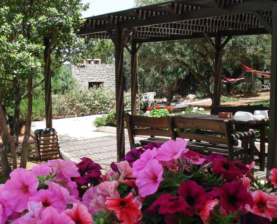 Katerina Charming Place Amoudara  外观 照片